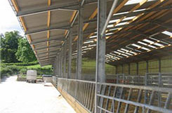 Steel frame building